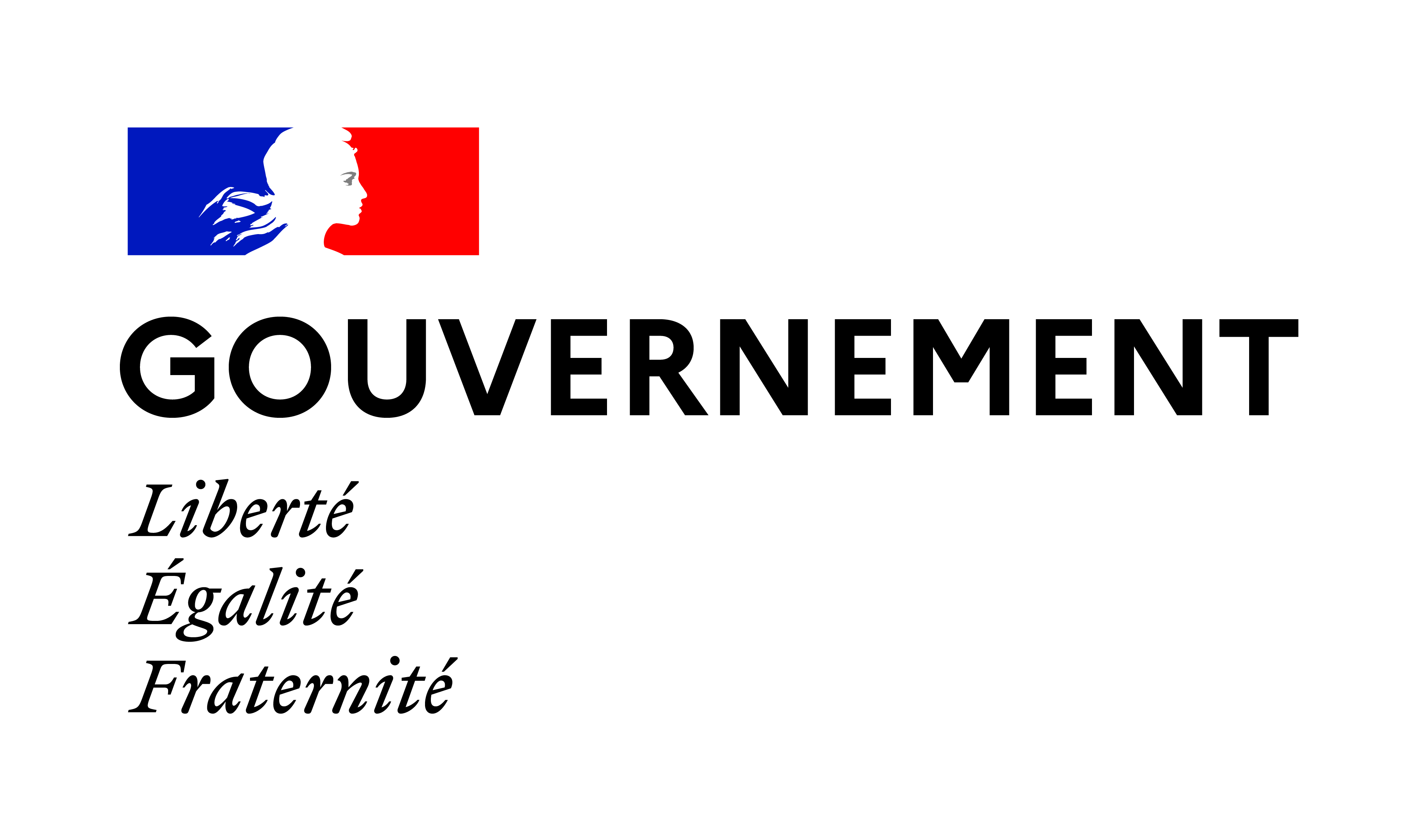Logo Gouvernement couleur