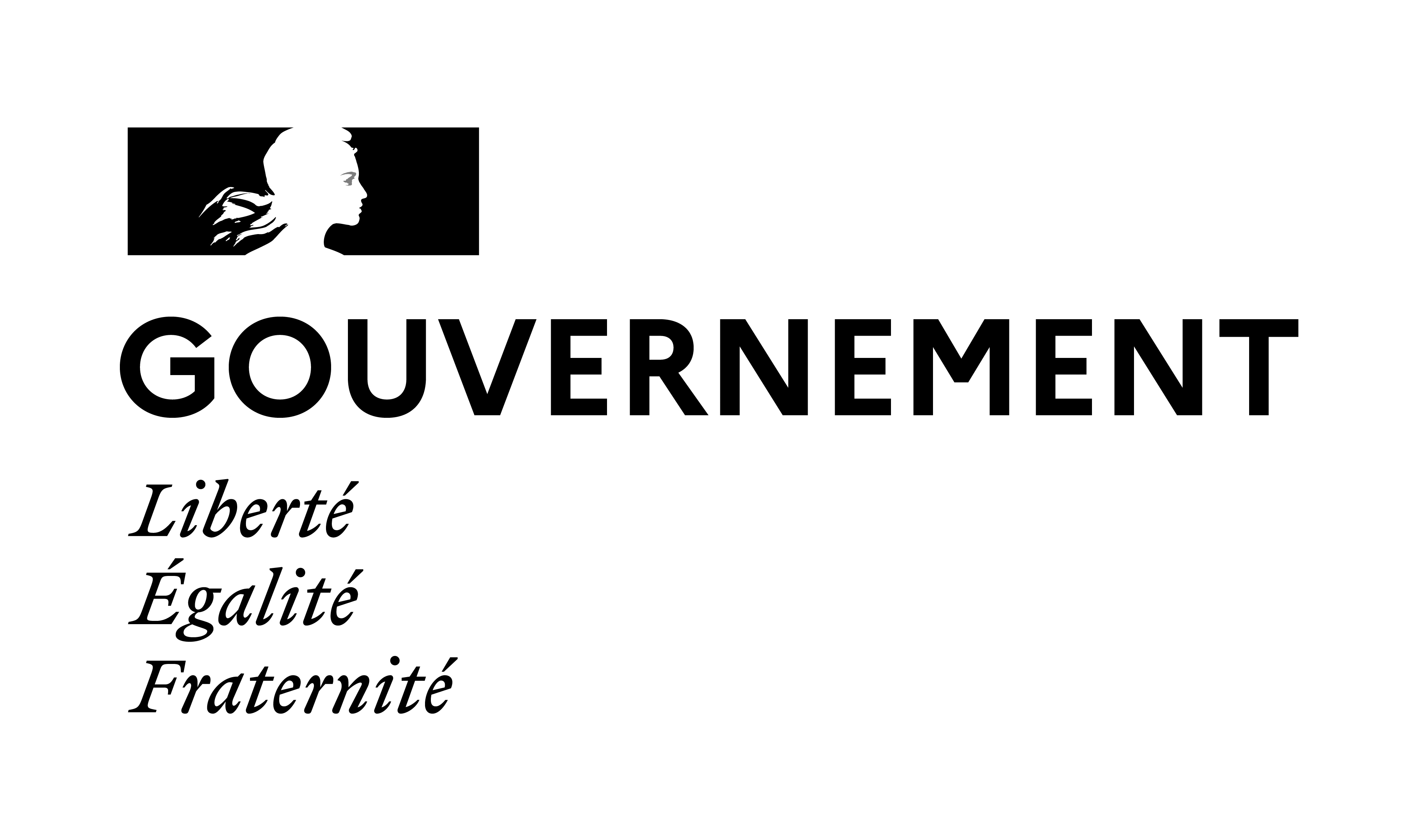 Logo Gouvernement noir & blanc