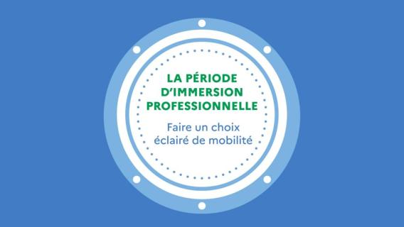 La période d'immersion professionnelle